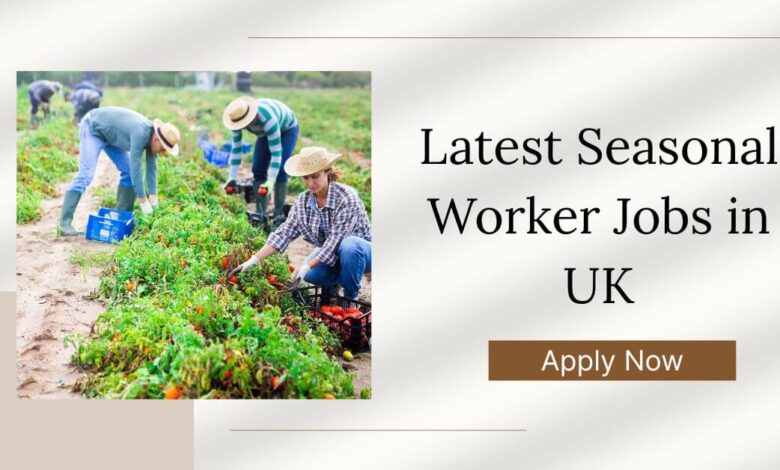 Latest Seasonal Worker Jobs in UK
