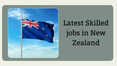Latest Skilled jobs in New Zealand