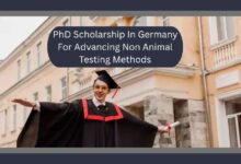 PhD Scholarship In Germany For Advancing Non Animal Testing Methods