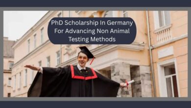 PhD Scholarship In Germany For Advancing Non Animal Testing Methods