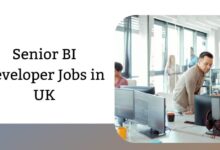 Senior BI Developer Jobs in UK