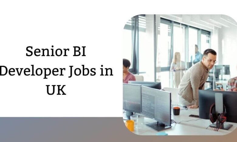 Senior BI Developer Jobs in UK