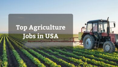 Top Agriculture Jobs in USA
