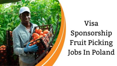 Visa Sponsorship Fruit Picking Jobs In Poland