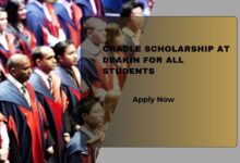 CRADLE Scholarship At Deakin For All Students
