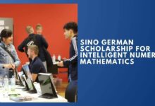 Sino German Scholarship For Intelligent Numerical Mathematics