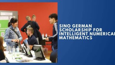 Sino German Scholarship For Intelligent Numerical Mathematics