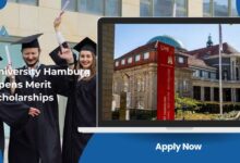 University Hamburg Opens Merit Scholarships