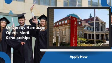 University Hamburg Opens Merit Scholarships