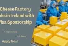 Cheese Factory Jobs in Ireland with Visa Sponsorship