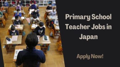 Primary School Teacher Jobs in Japan