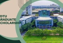 TDTU Graduate Scholarship Spring Open