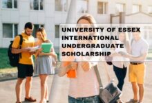 University Of Essex International Undergraduate Scholarship