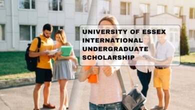 University Of Essex International Undergraduate Scholarship