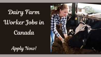 Dairy Farm Worker Jobs in Canada