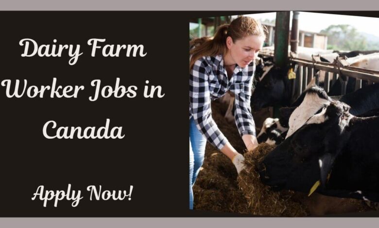 Dairy Farm Worker Jobs in Canada