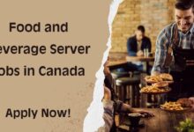 Food and Beverage Server Jobs in Canada
