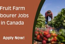 Fruit Farm labourer Jobs in Canada