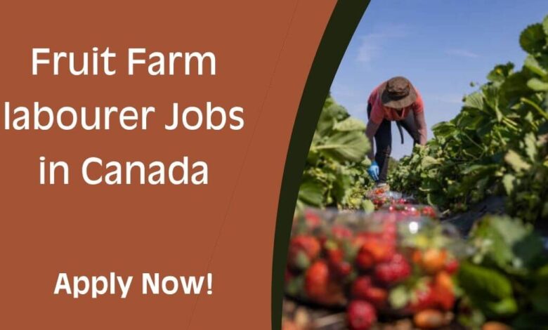 Fruit Farm labourer Jobs in Canada