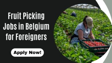 Fruit Picking Jobs in Belgium for Foreigners