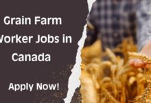 Grain Farm Worker Jobs in Canada