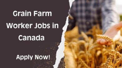 Grain Farm Worker Jobs in Canada