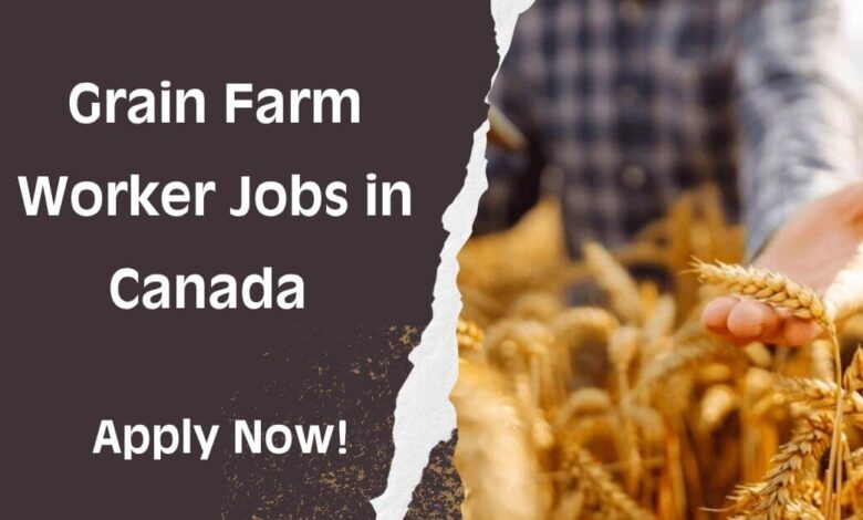Grain Farm Worker Jobs in Canada