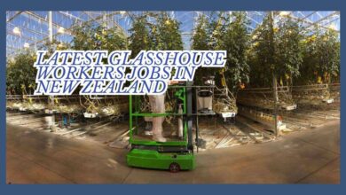 Latest Glasshouse Workers Jobs in New Zealand