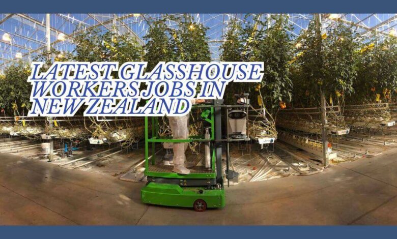 Latest Glasshouse Workers Jobs in New Zealand