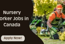 Nursery Worker Jobs in Canada