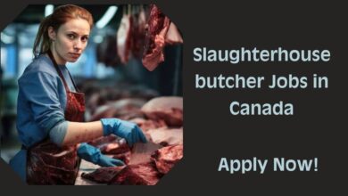 Slaughterhouse butcher Jobs in Canada