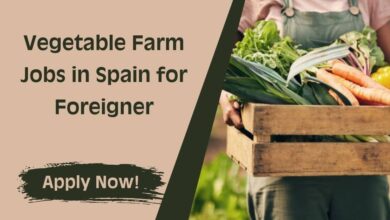 Vegetable Farm Jobs in Spain for Foreigner