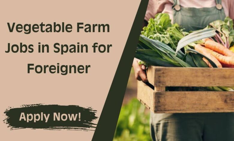 Vegetable Farm Jobs in Spain for Foreigner