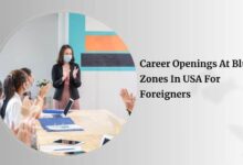 Career Openings At Blue Zones In USA For Foreigners