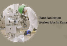 Plant Sanitation Worker Jobs In Canada
