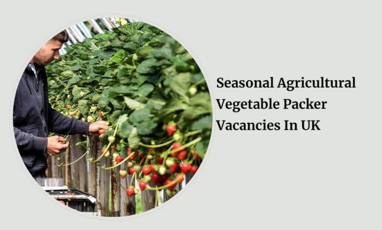 Seasonal Agricultural Vegetable Packer Vacancies In UK