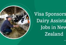 Visa Sponsorship Dairy Assistant Jobs in New Zealand
